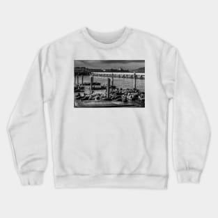 Sea Lions At Pier 39 San Francisco Crewneck Sweatshirt